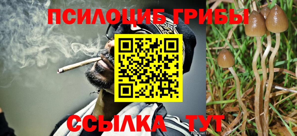 Псилоцибиновые грибы Psilocybine cubensis Орск